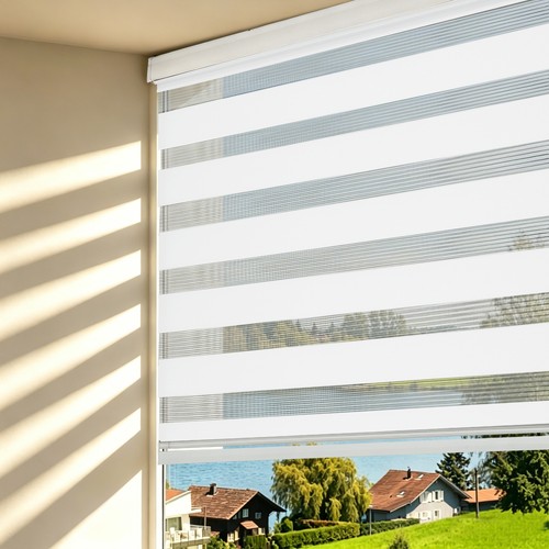 Dual zebra roller blinds - dual,